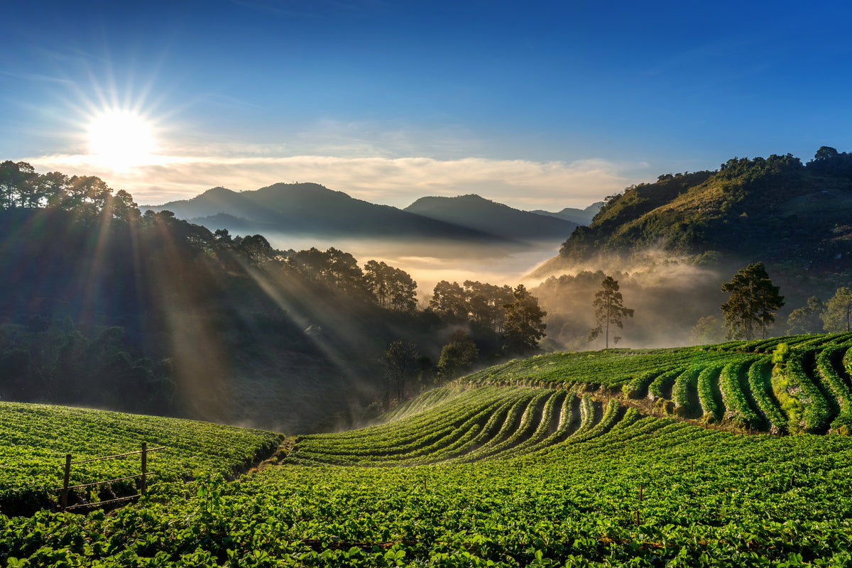 Beautiful sunrise, nature beauty. Oserth