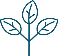 icon-6.png__PID:8cb11fd7-8aad-4c7d-99b0-f9bb252c980e